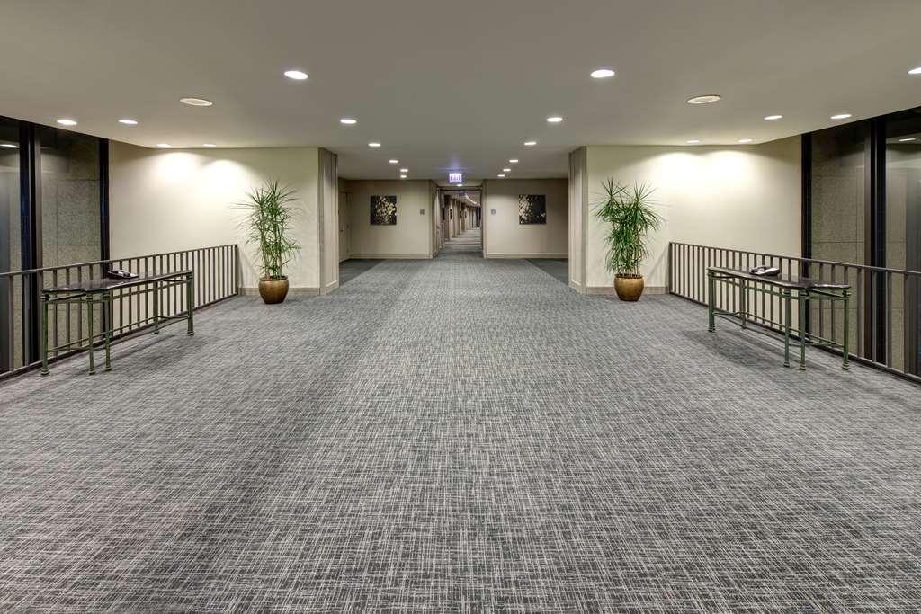 Отель Hilton Chicago O'Hare Airport Розмонт Удобства фото